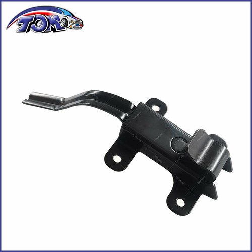 Rear cargo door check strap - rear,